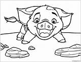 Moana Coloring Pig Pua Pages Face Drawing Disney Color Printable Colouring Easy Rocks Cartoon Print Coloringpagesonly Animal Kids Getdrawings Getcolorings sketch template
