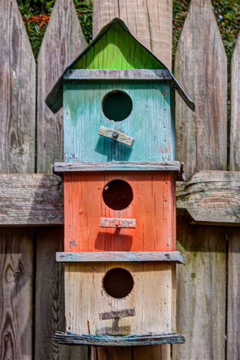 garage attractive colorful birdhouses  bird houses   park