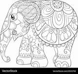 Coloring Elephant Cute Adult Bookpage Vector Little Mandala Pages Vectorstock Cartoon Book Adults sketch template