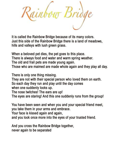 rainbow bridge poem pets rainbow bridge poem dog quotes pet poems