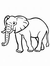 Olifant Kleurplaat Elefant Colorat Kleurplaten Olifanten Leukekleurplaten Dansende Plansededesenat Printen Tipareste sketch template