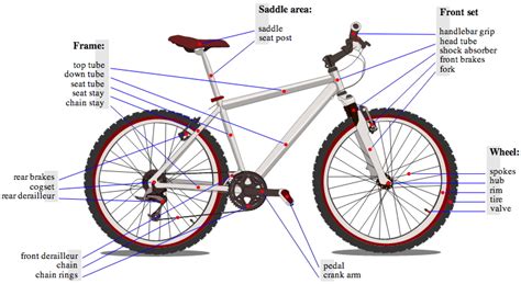 zombie cyclist bicycle anatomy