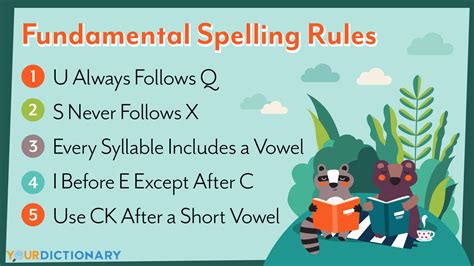 fundamental spelling rules     yourdictionary