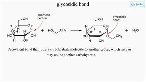 glycosidic bond youtube