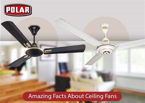 intriguing facts  ceiling fans