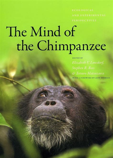 mind   chimpanzee ecological  experimental perspectives amazoncouk lonsdorf
