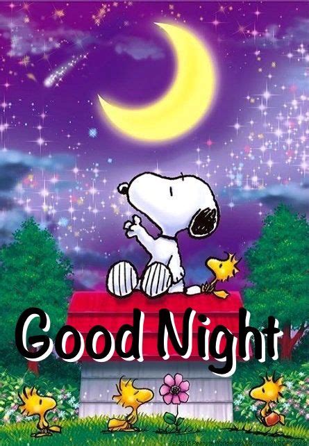 159 Best Snoopy Good Night Images On Pinterest Peanuts