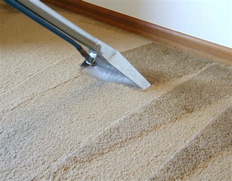 professional carpet cleaning freedom restoration cleaning
