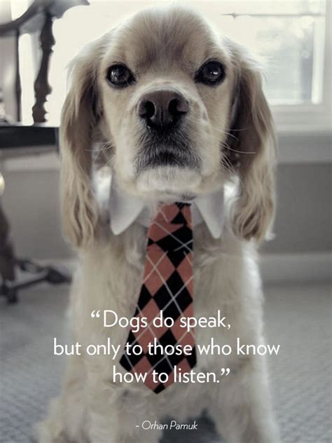 images  dogs quotes  pinterest loyalty quotes pets  dog sayings