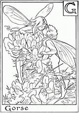 Coloring Pages Flower Fairy Fairies Popular sketch template