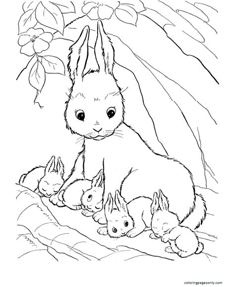 bunny coloring pages coloring pages  kids  adults