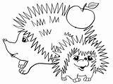 Hedgehog Coloring Wonder sketch template