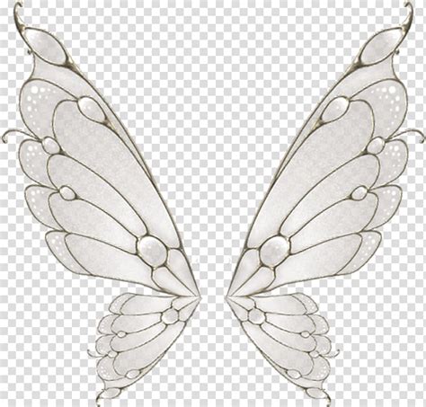 gray  white butterfly wings illustration butterfly wing flight moth painted white butterfly