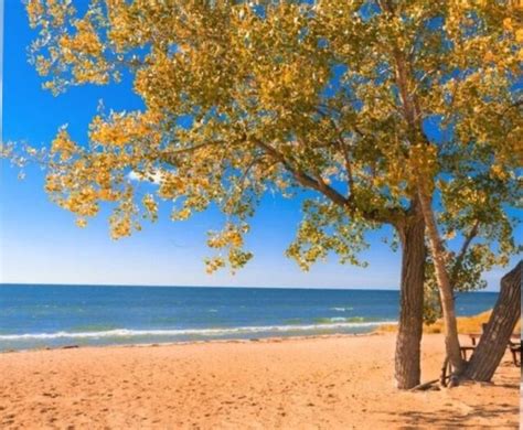 10 Top Places To Visit In Michigan In The Fall