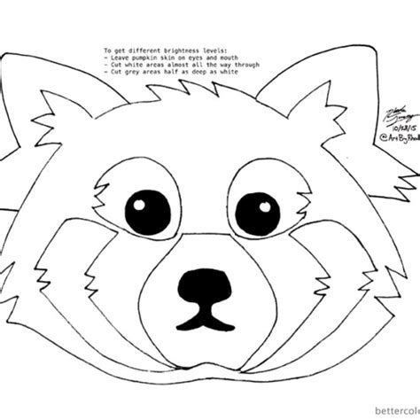 red panda coloring pages eating bamboo  printable coloring pages