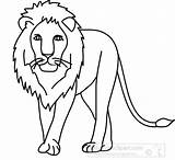 Lion Outline Clipart Drawing 03a Front Animal Animals Line Clip Cub Classroomclipart Cliparts Drawings Vector Use Presentations Websites Reports Powerpoint sketch template
