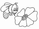 Bumble Abeille Mewarnai Lebah Abelha Colorir Coloriages Animaux Binatang Tudodesenhos sketch template