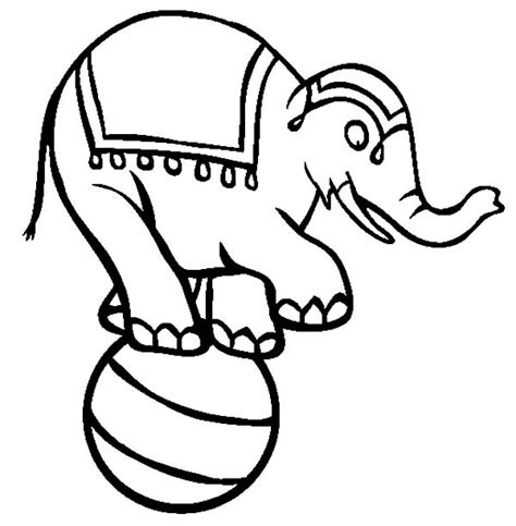 circus elephant coloring pages  kids  place  color