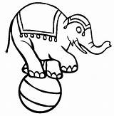 Elephant Circus Coloring Pages Ball Standing Kids Drawing Color Show Getdrawings Button Using Print sketch template