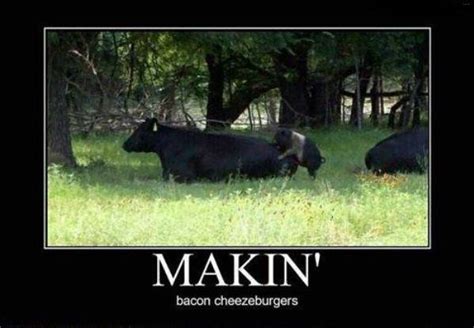 where bacon cheeseburgers come from