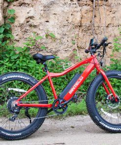 electric bike rental  galena illinois nuts outdoors