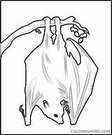 Bat Coloring Hanging Upside Down Snap Rss Sharing Flickr Coloring4free Pages Related Posts sketch template