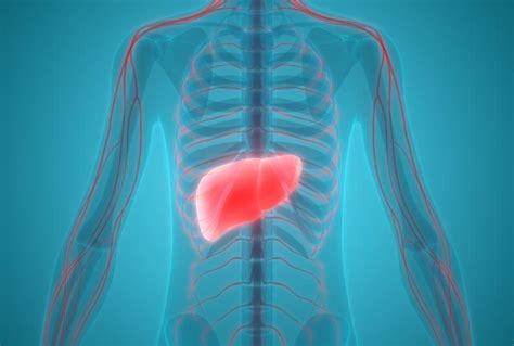 liver diseases findatopdoc