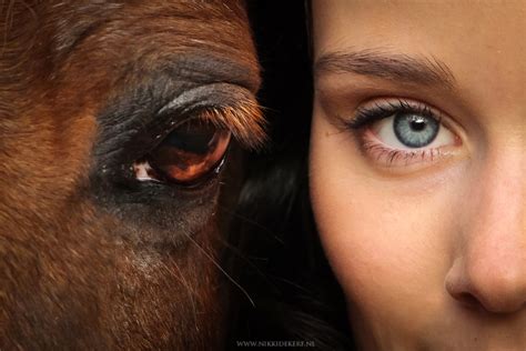 paardenfotograaf nikki de kerf fotoshoot met paard en meer