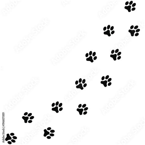 black dog paw prints isolated  white background vector illustration