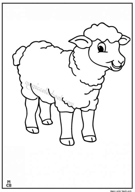 sheep coloring pages  print wats