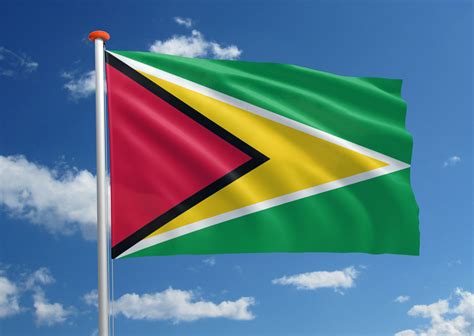 guyaanse vlag bestel uw guyaanse vlag bij mastenenvlaggennl