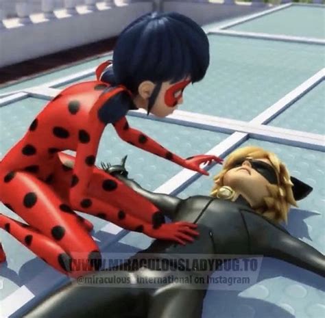 He Still Fought All Hurt Agh Miraculous Ladybug Funny