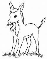 Coloring Pages Donkey Donkeys Animal Kids Farm Clipart Cartoon Rabbit Animals Sketches Cool Drawing Print Bunny Library Coloringkids Popular Choose sketch template