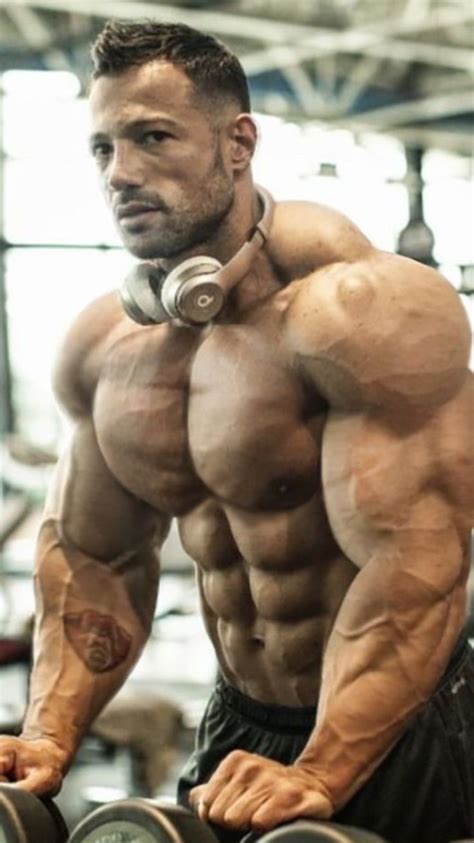 massive arms and bulging biceps body building men muscle