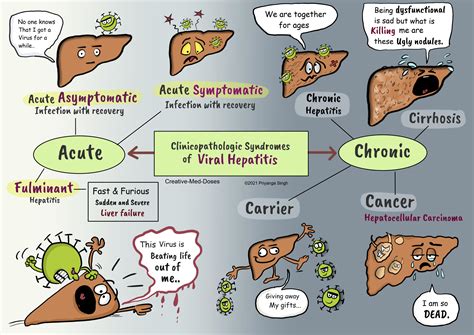 hepatitis  transmission  clinical  creative med doses