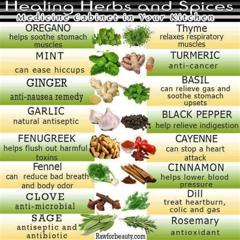 healing herbs chart herbal remedies pinterest healing herbs