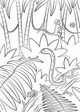 Selva Foresta Supercoloring Escena Landschaft Landscape Paisagem Kolorowanka Tramonto Animali Floresta Sul Categorías Florestas Tropicais Wasserfall Drukuj Amordepapeis sketch template