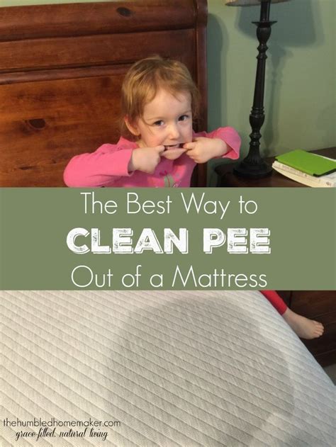 clean pee    mattress cleaning hacks house