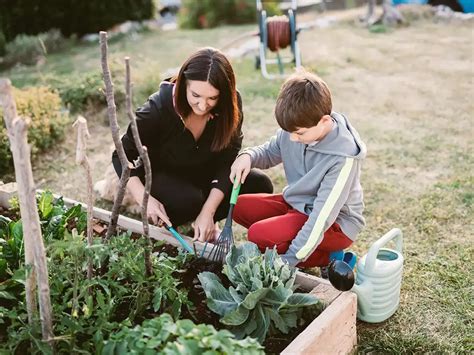 5 Razones Por Las Que La Jardinería Es Buena Para La Salud Innaturale