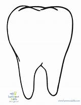 Tooth Molar Drawing Clipartmag sketch template