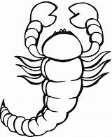Scorpion Pages Coloring Printable Kids sketch template