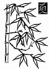 Bamboo Coloring Pages Clip Popular sketch template