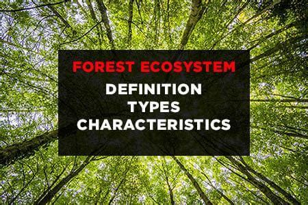 forest ecosystem definition types characteristics earth reminder