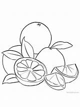 Grapefruit Coloriage sketch template