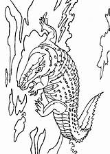 Krokodile Malvorlagen Malvorlagen1001 sketch template
