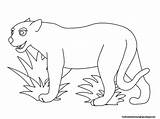 Pantera Kolorowanki Panteras Mewarnai Realisticcoloringpages Negra Desenhosinfantis Pintar Rainforest Felinos Salvajes Galería Coloringbay Salvaje Felino Jaguars Perritos sketch template