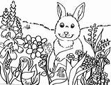 Spring Coloring Cute Pages Getcolorings sketch template