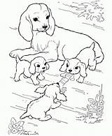 Dog Pages Printable Coloring Puppy Kids Dogs Animal Color Colouring Col Sheets Play Her sketch template