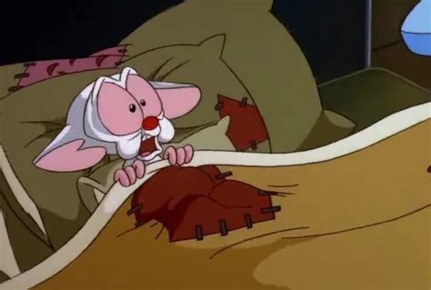 watch pinky and the brain season 3 episode 32 the tailor and the mice online pinky and the brain