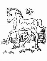 Pages Pony Coloring Horse Printable Choose Board Kids Pretty sketch template